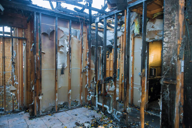 Professional Fire Damage Removal technician working in Gwynn Oak, MD
